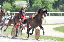 Državno prvenstvo 3-letnikov
