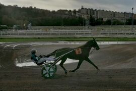 Rigill zmagal v Trstu