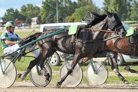 Hot Coco z odličnim časom 1:12,9 do nove zmage v Italiji